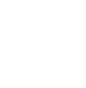 icon fraud - GeniusOPS