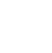 icon global - GeniusOPS