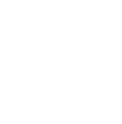 icon white labeled - GeniusOPS